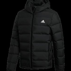 Adidas Helionic Ho Jacket Untuvatakki