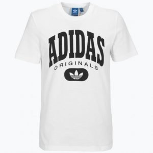 Adidas Torsion Tee T-Paita