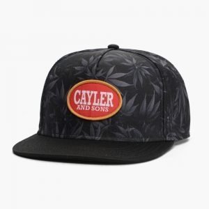 Cayler & Sons C&S Blunted 2-Tone Cap