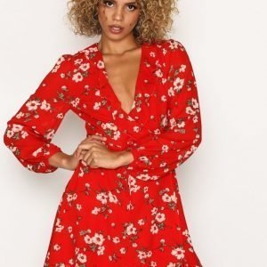 Glamorous Blossom Dream Dress Skater Mekko Red