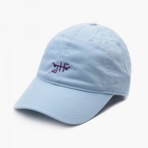 Just Have Fun Classic Skate Dad Hat QS