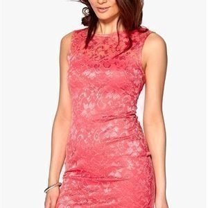 Sisters Point Icat-a Dress 520 Coral