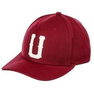 Upfront 'United Baseball' lippis